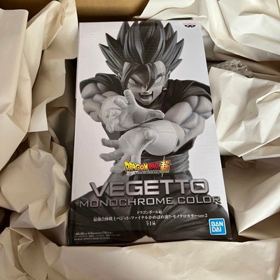 Der stärkste kombinierte Krieger Vegito - Final Kamehameha!! - Farbe Monochrom