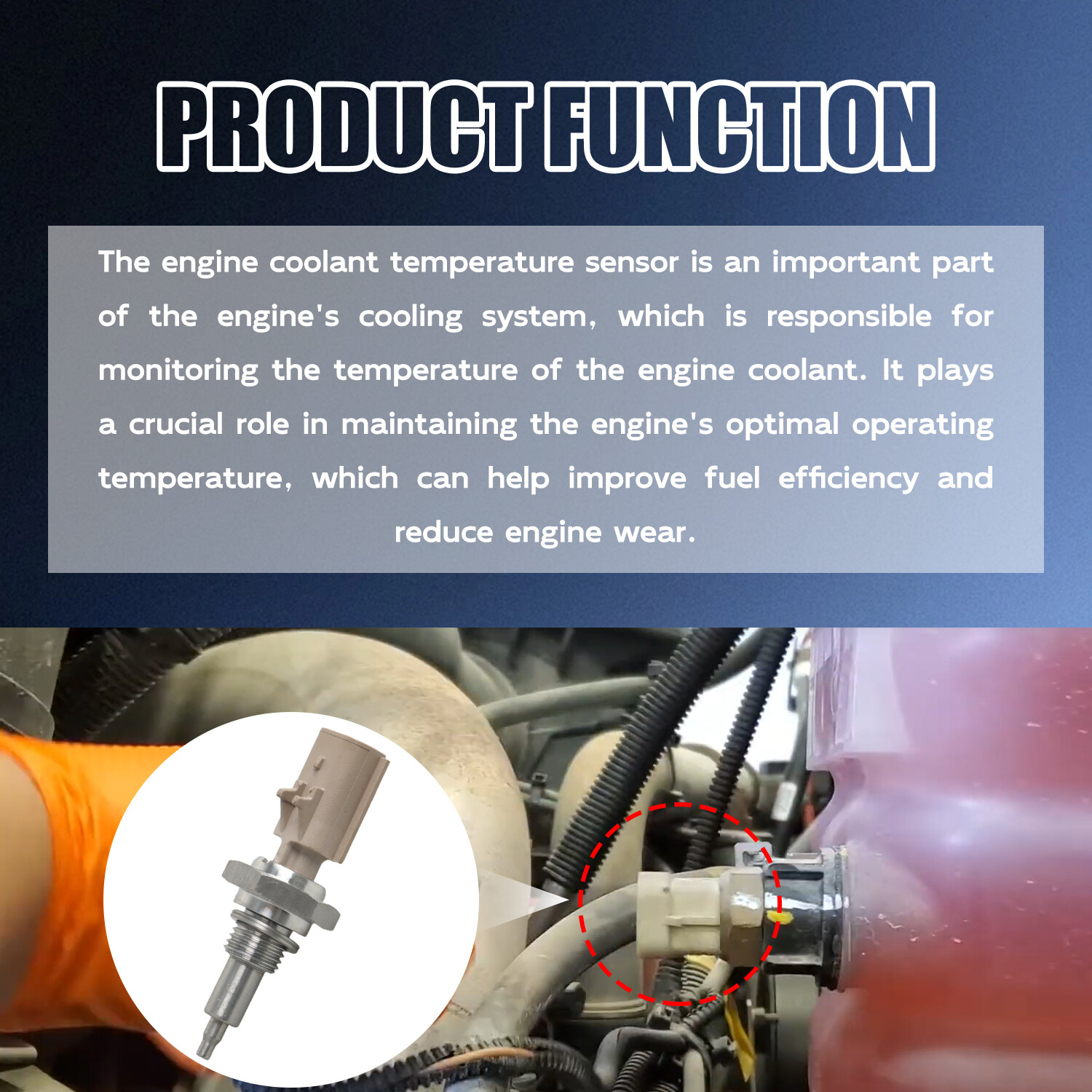 Engine Coolant Temperature Sensor Fit for Cummins ISX ISB QSB M11 ISX ...
