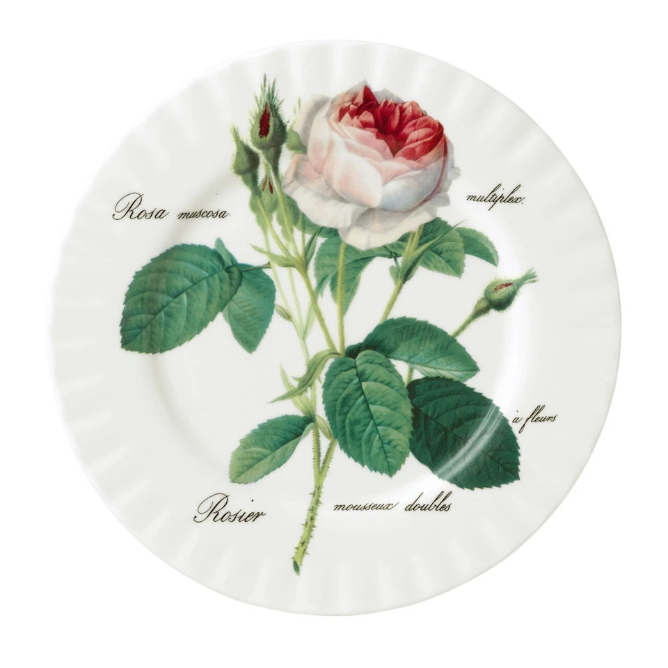 Teller 21 cm Redoute Roses Roy Kirkham Porzellan 297396 Kuchenteller formano