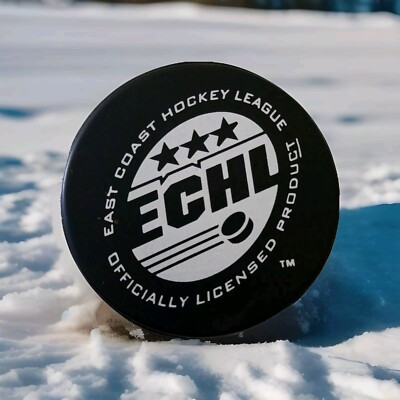 1998-1999 AUGUSTA LYNX INAUGURAL SEASON ECHL VINTAGE OFFICIAL GAME