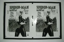 Production Art SPIDER-MAN AND THE BLACK CAT #2 cover, TERRY DODSON art