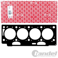 Elring Zylinderkopfdichtung FüR Renault Laguna Megane ScÉNic Kangoo 1.9 Dci/Dti