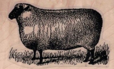 Sheep by Cat Kerr 1 1/2 x 2 1/4'' Rubber Stamp, Animal Stamp, Sheep Stamp