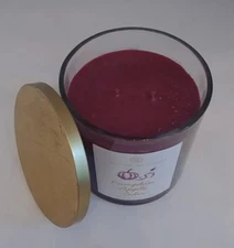 NEW HTF Chesapeake Bay PUMPKIN APPLE CIDER 2 Wick Candle 14 OZ (B3-K13)