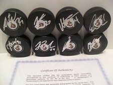 Ottawa Senators 8 Signed Puck Duclair Anderson Hogberg Nilsson + 4 MORE COA