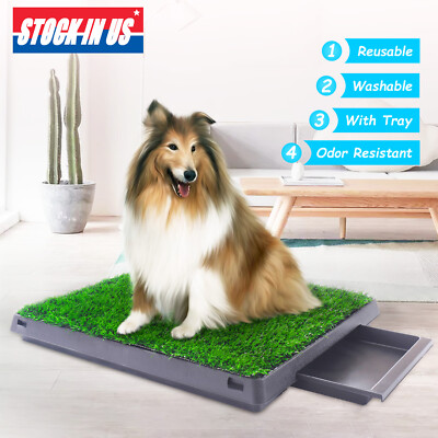 dog bathroom mat