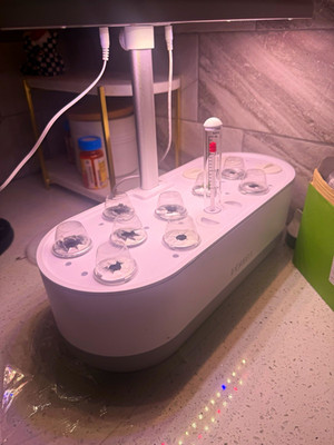 inbloom HydroponicGrow Kit 12-Site Countertop Indoor Garden System w/ Light