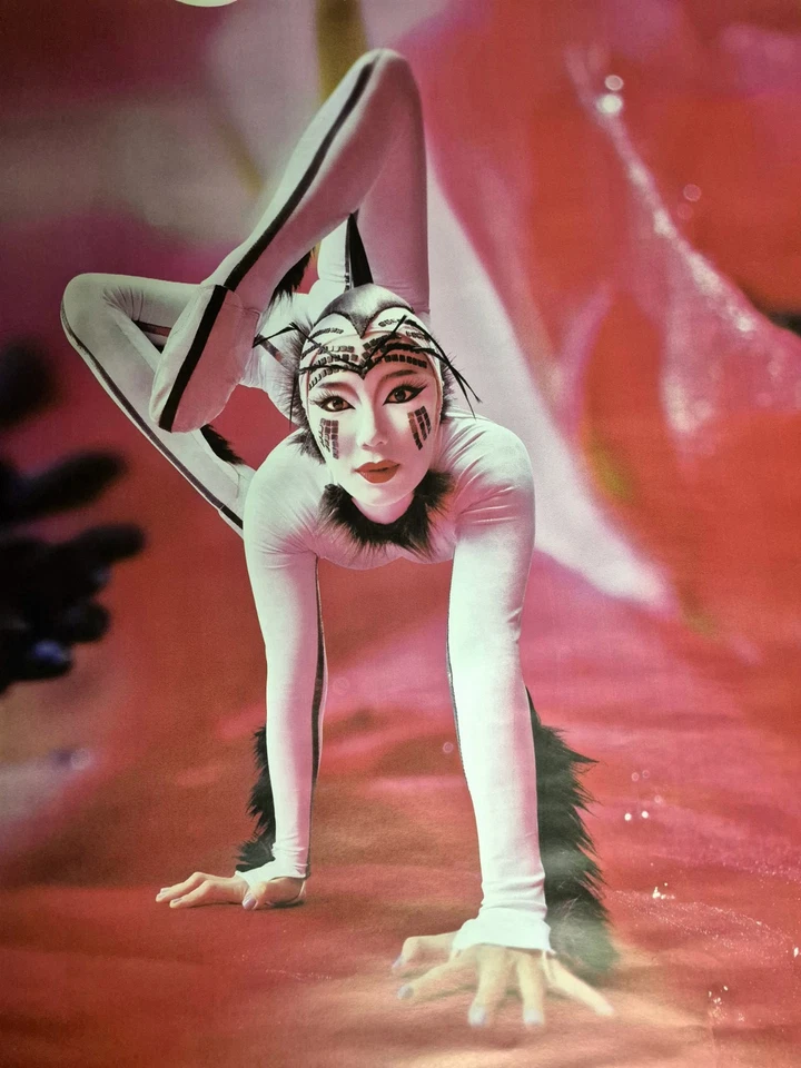 Cirque du Soleil OVO – Royal Albert Hall London 2026 – Official 40″×60″ Poster - Image 2 of 4