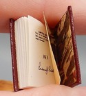 Vtg Illustrated Barbara Raheb Alice In Wonderland Book Dollhouse Miniature 1:12 — photo 10