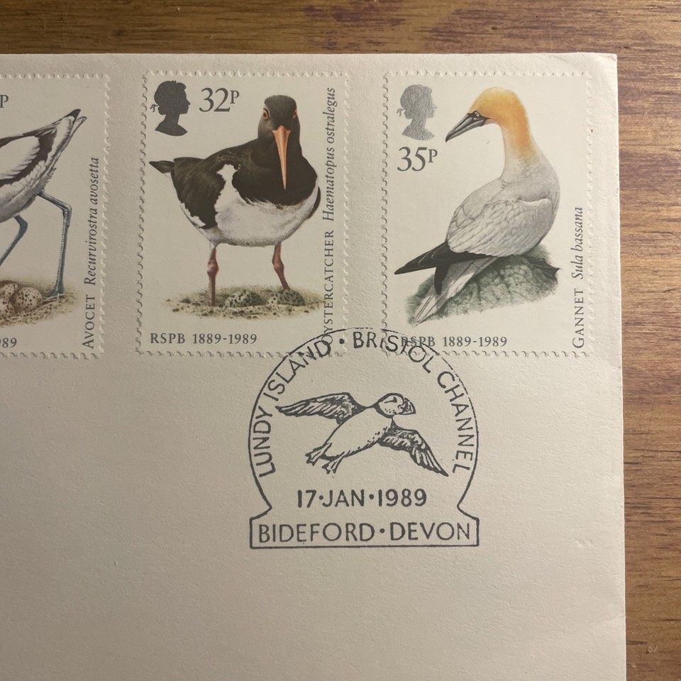 Window Covering Bird Protection 1989 Birds First Day Cover, Bideford pm Lundy island. | eBay UK