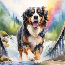 Watercolor Bernese Mountain Dog Memorial Handmade Print INCLUDES 11X14 MATT