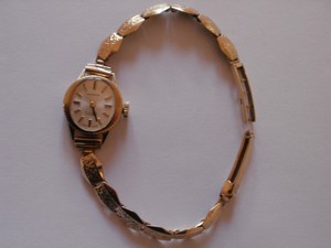 everite gold watch