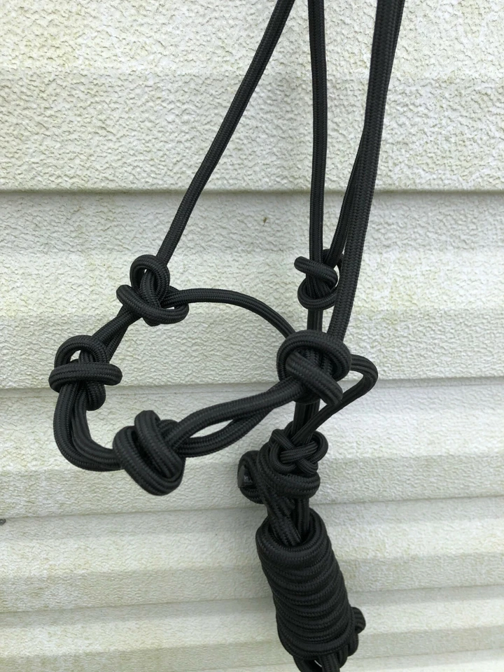 Soporte de cuerda de entrenamiento de caballo natural rojo de 4 nudos y cuerda de plomo de 8 pies Yearling COB 4327 Foto 2 de 4