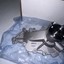 Picture 2 of 8