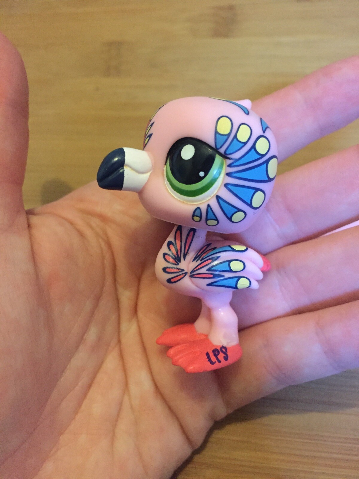 Bild 8 von 12