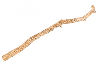 NaDeco Korkeichen Stamm 200cm | Galho Estrela | Korkeichenstamm | Birkenstamm
