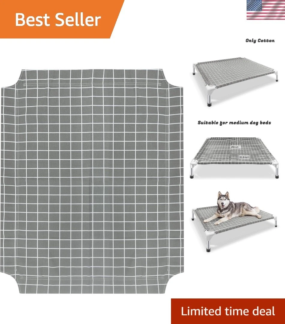 Stainless Steel Framed Elevated Dog Cot - Stylish & Comfortable for Medium Dogs