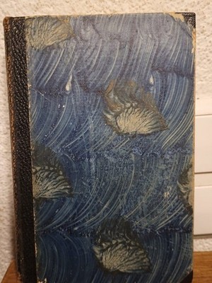 Friedmann Bach Brachvogel:
