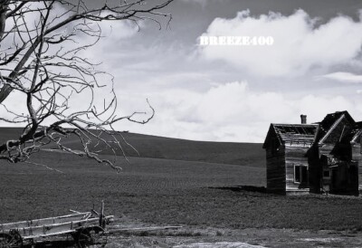 Old West Photo/OLD ABANDONED WESTERN HOMESTEAD/4x6 B&W Photo Reprint