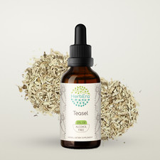 HerbEra Teasel Alcohol-FREE Herbal Extract Tincture, Organic