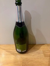 Empty SAN LEO Prosecco Wine Bottle Magnum 1.5 Litre Upcycle Crafts Wedding