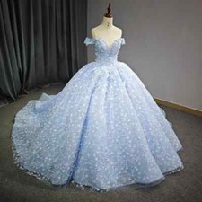 Sky Blue Princess Quinceanera Dresses Ball Gown Cap Sleeve Applique Sweet 16