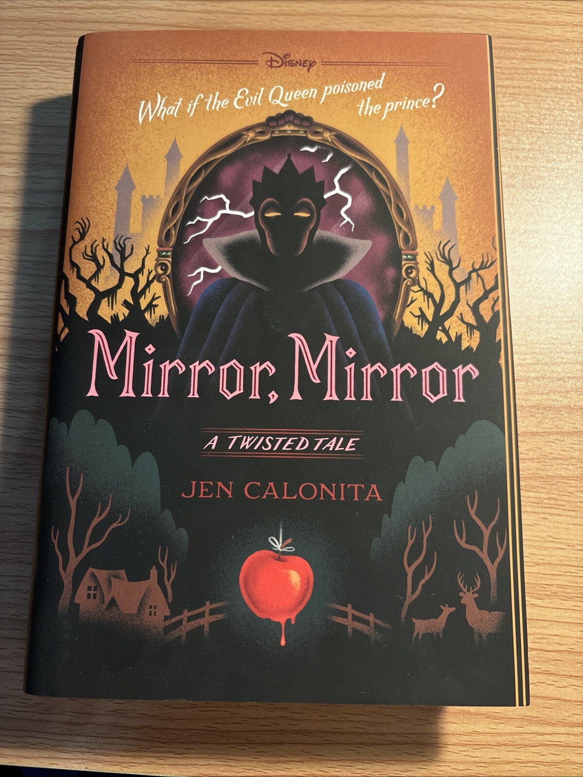 Mirror Mirror - A Twisted Tale Hardcover by Jen Catalonia