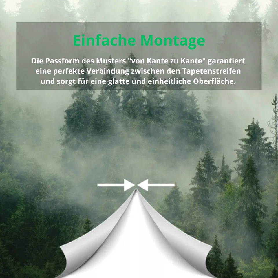 Fotomurale foglie verde piante cemento soggiorno TESSUTO NON TESSUTO CARTA DA PARATI XXL + COLLA - Immagine 3 di 4