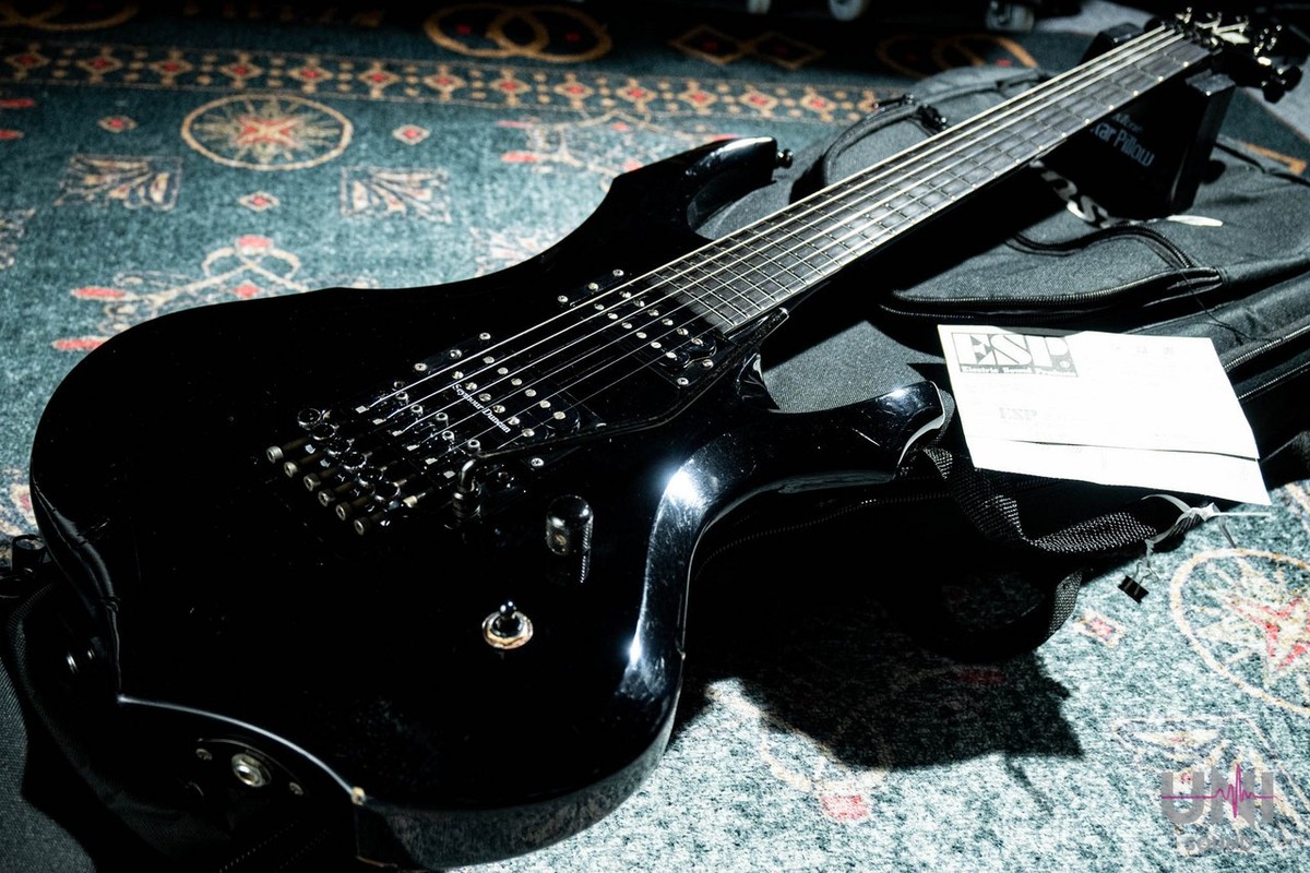 ESP FR-550CTM Custom Order FOREST-G type | eBay