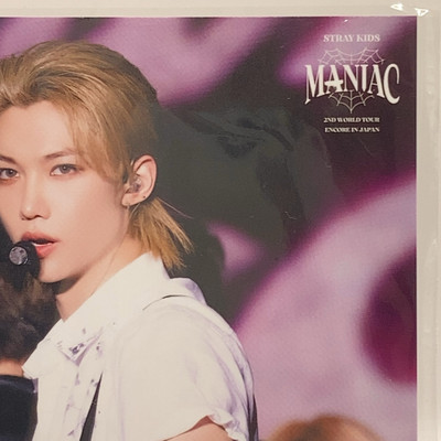 Stray Kids Felix SKZ Official Post Card MANIAC 2nd World Tour