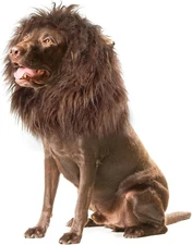 Onmygogo Lion Mane Wig for Dogs with Ears, Funny Pet Costumes