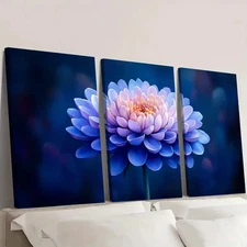 3pcs Chinese Aster Flower  QW   Wall Art Canvas Framed 50x70cm