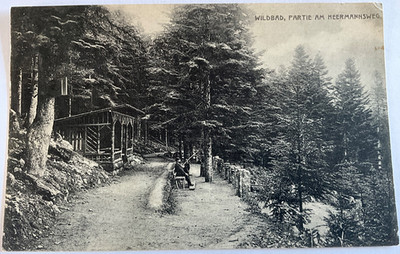 1503 - Wildbad Partie am Heermannsweg 1908 , Bad Wildbad , Landkreis Calw