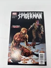 The Amazing Spider-Man 516 Marvel Comics VF