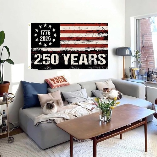 250 Amerika Flagge, 3 x 5 Fuß, USA 250. Jahrestag patriotisches Design, 1776-2026 - Bild 9 von 10