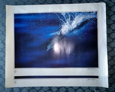 2 Greenpeace Dolphin Poster Ocean Wildlife San Francisco Vintage Rainbow WARRIOR