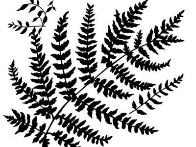 Delicate Fern Leaves Wall Art Reusable Plastic Stencil - StencilAir
