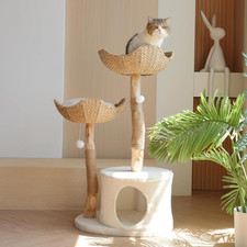 Natural Modern Cat Tree Tower   Wooden Cat Condo with Dangling Ball, Cozy Basket
