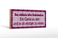 Holzschild Spruch 27X10 Cm SchöNste Aller Geheimnisse Holz Schild Wooden Sign