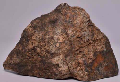 ACASTA GNEISS SLICE, "OLDEST ROCK" HADEAN AGE, CANADA S1322 - Picture 2 of 4