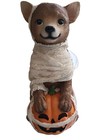 Chihuahua Little Mummy Pumpkin Halloween Statue Figurine - Light Up! Adorable