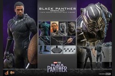 Marvel Hot Toys Black Panther 1 6 Scale Figure Original Suit  Near Mint