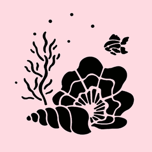 seashells stencil shells fish coral art craft paint template new by