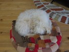 Bild 23 von 24