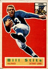 Click to enlarge Bill Stits