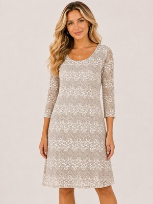 Rabbit Rabbit Rabbit Dress Womens Medium M Lace Overlay Chevron Midi Shift Boho