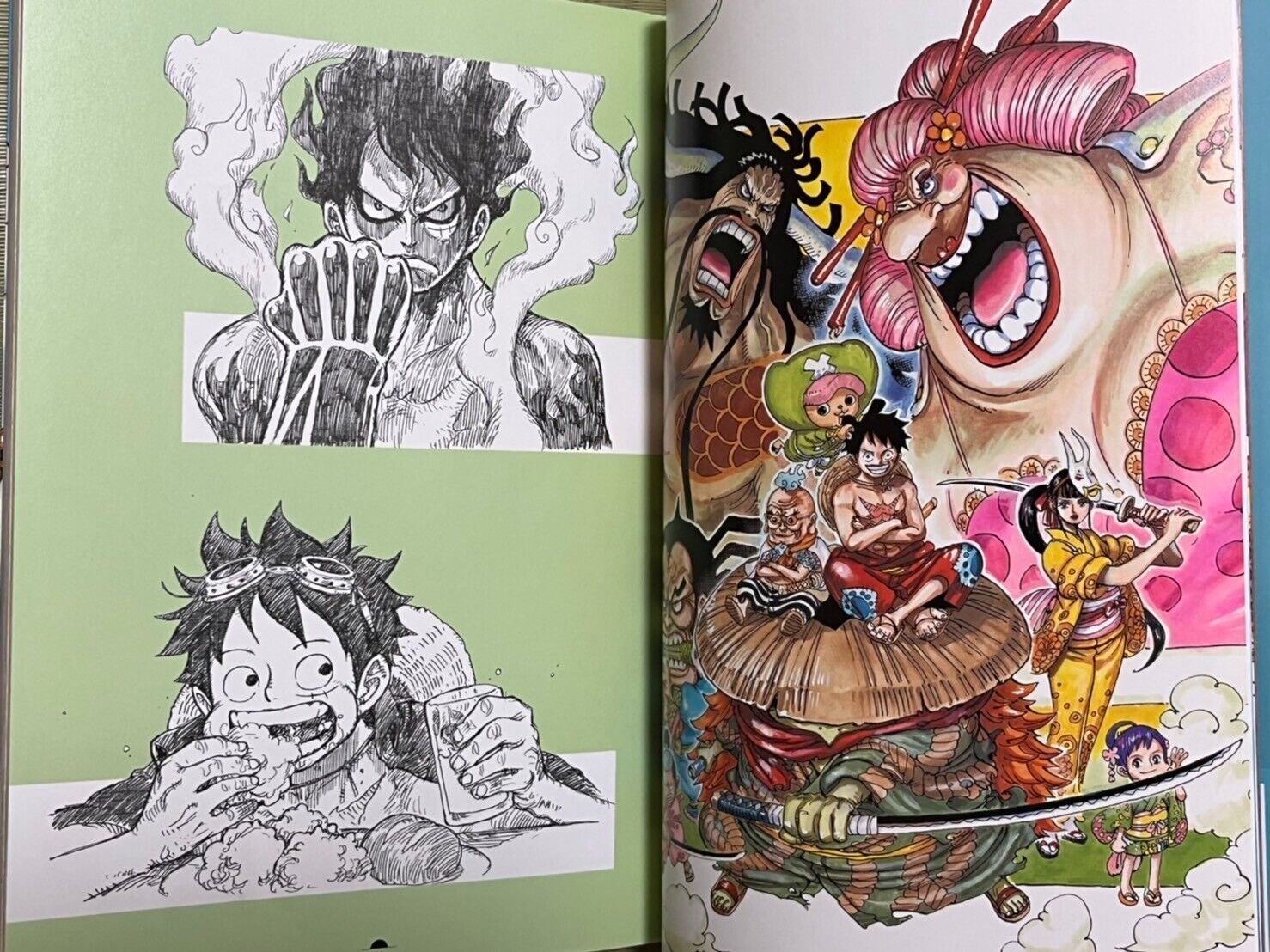 New One Piece Color Walk Dragon Art Book Details Shared - Siliconera