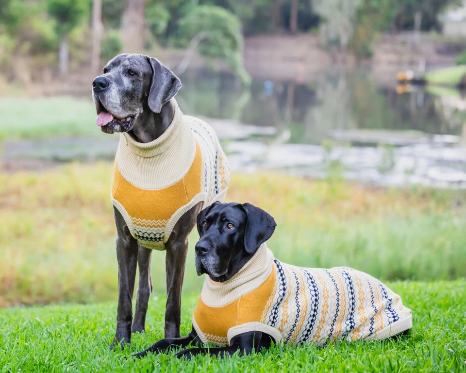 Mila+me 'OSLO' Designer Dog Jumper For GREAT DANE - Image 2 of 4