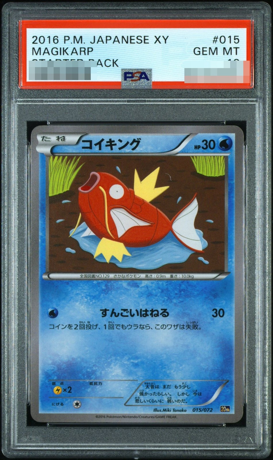 PSA 10 2016 MAGIKARP #015 STARTER PACK POKEMON JAPANESE XY STARTER PACK