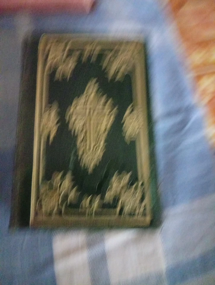 Antico Libro Ufficio Della Settimana Santa Di Monsignor Martini Anno 1843 - Immagine 2 di 4